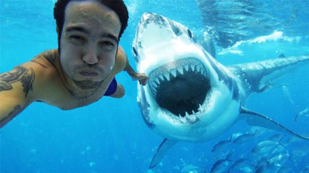10 Most Dangerous Selfies Ever Taken